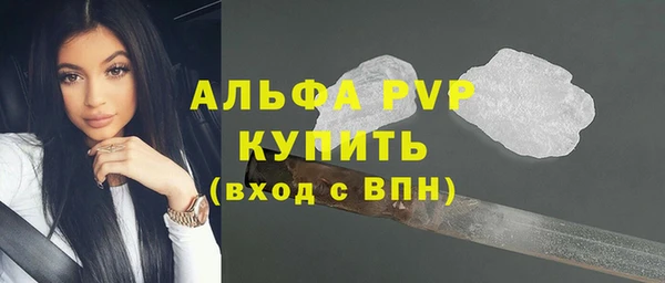 СК Волоколамск