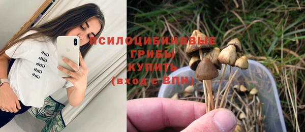 СК Волоколамск