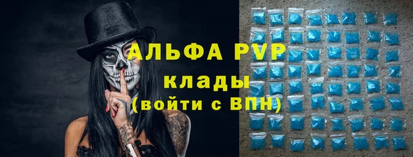 СК Волоколамск