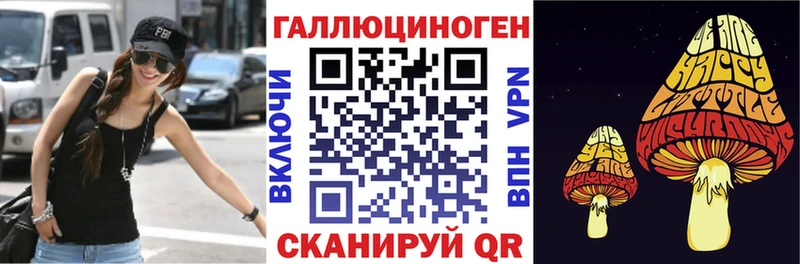 Купить закладки  Вязники  Галлюциногенные грибы Magic Shrooms 