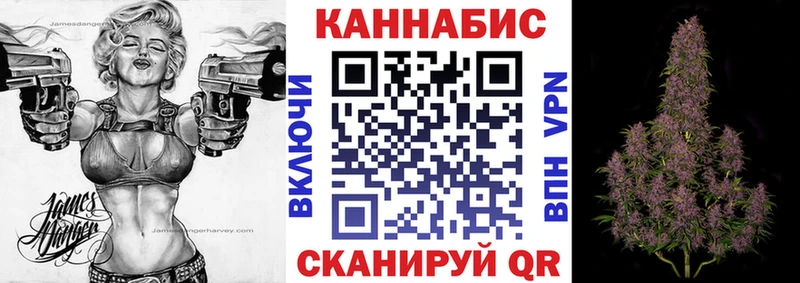 Бошки Шишки планчик  Купить  Вязники 
